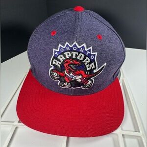 Toronto Raptors Purple Denim SnapBack Mitchell & Ness Hardwood Classics Cap